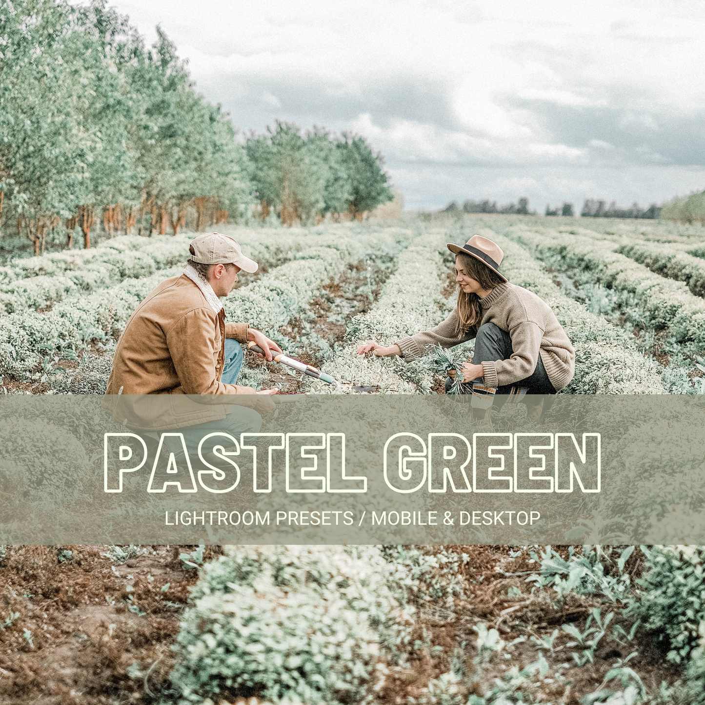 Pastel Green