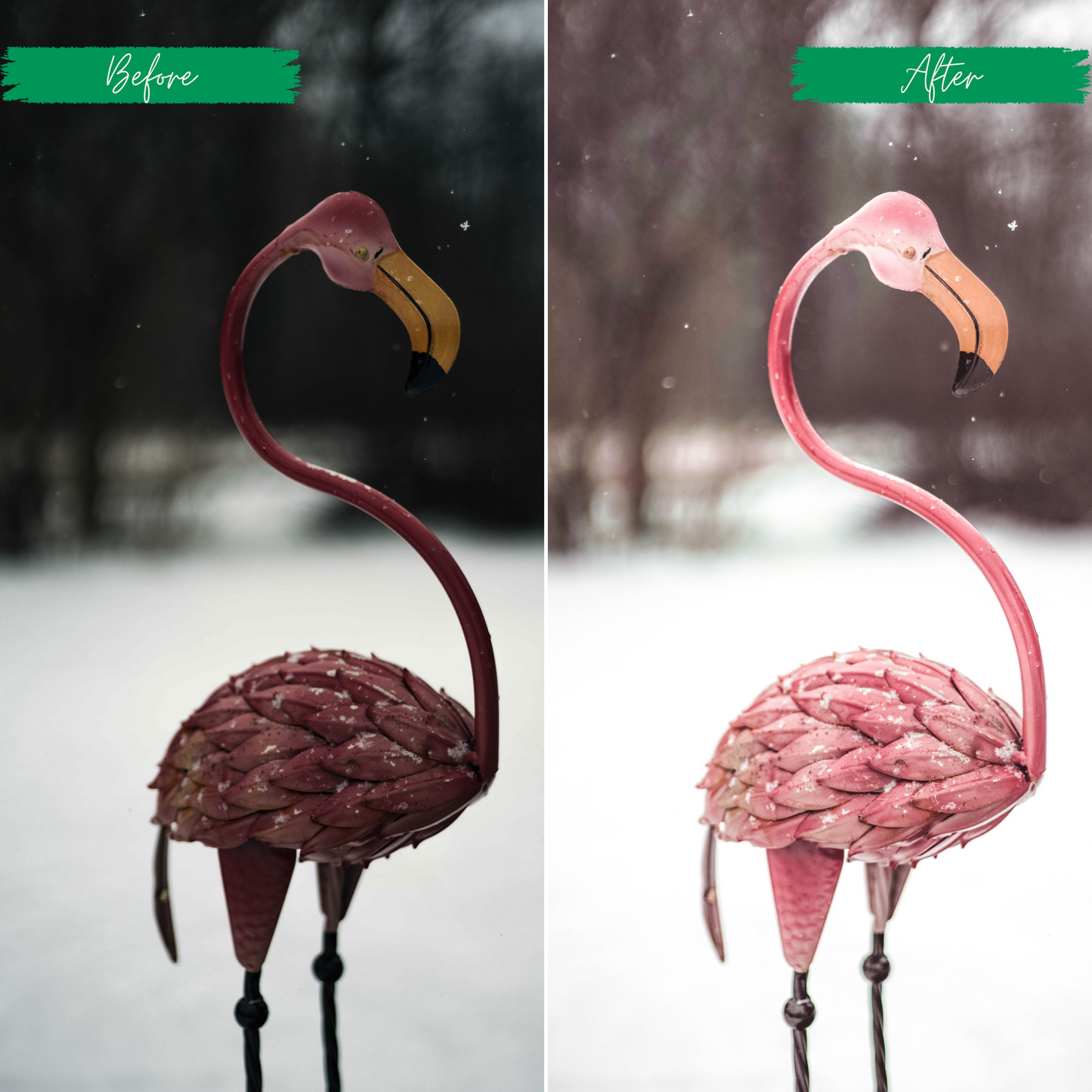 Pink Winter