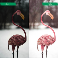 Pink Winter