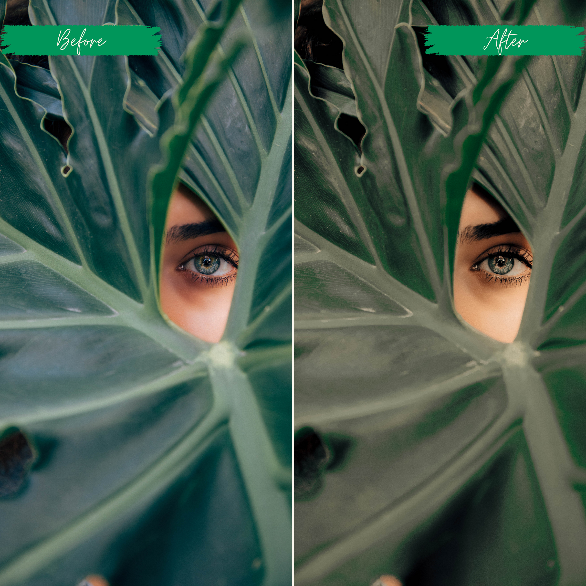 Perfect Green