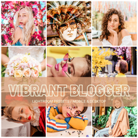 Vibrant Blogger
