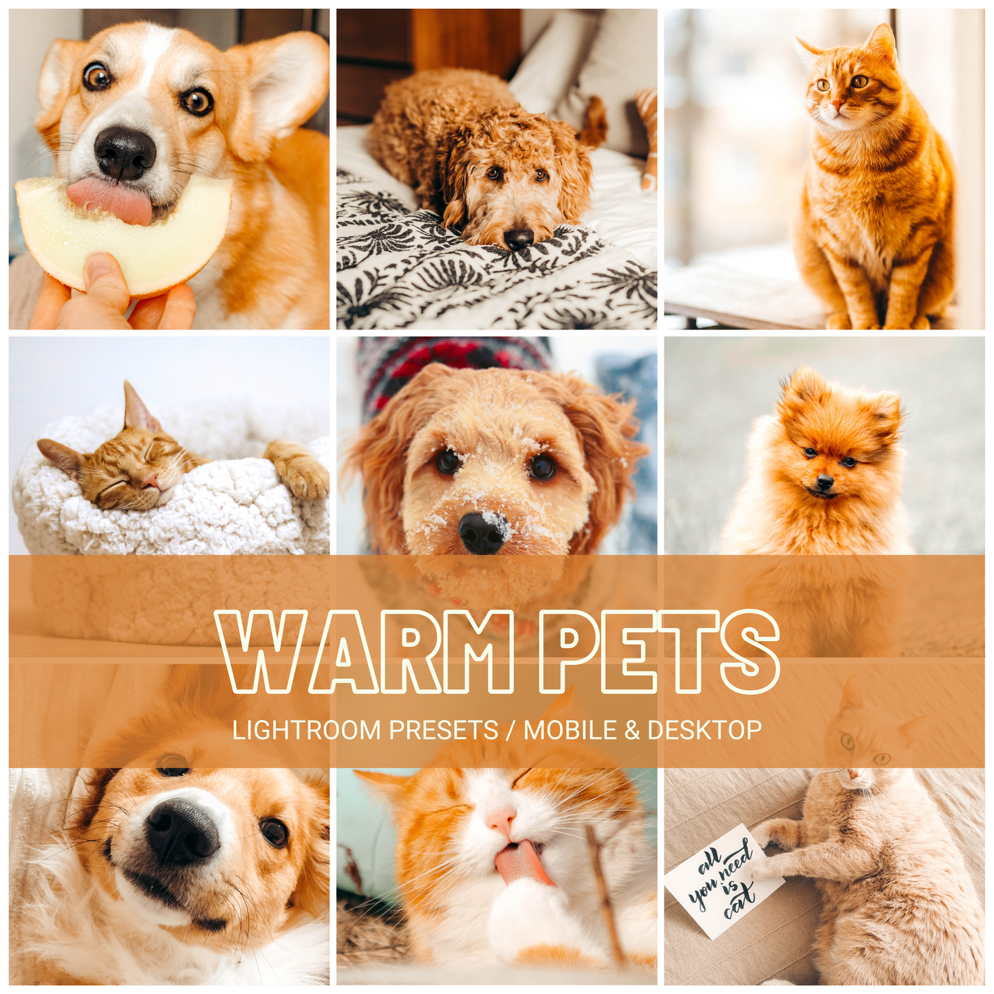 Warm Pets