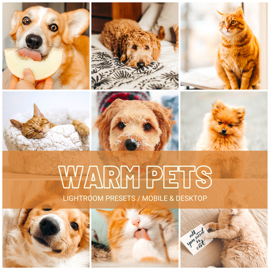 Warm Pets