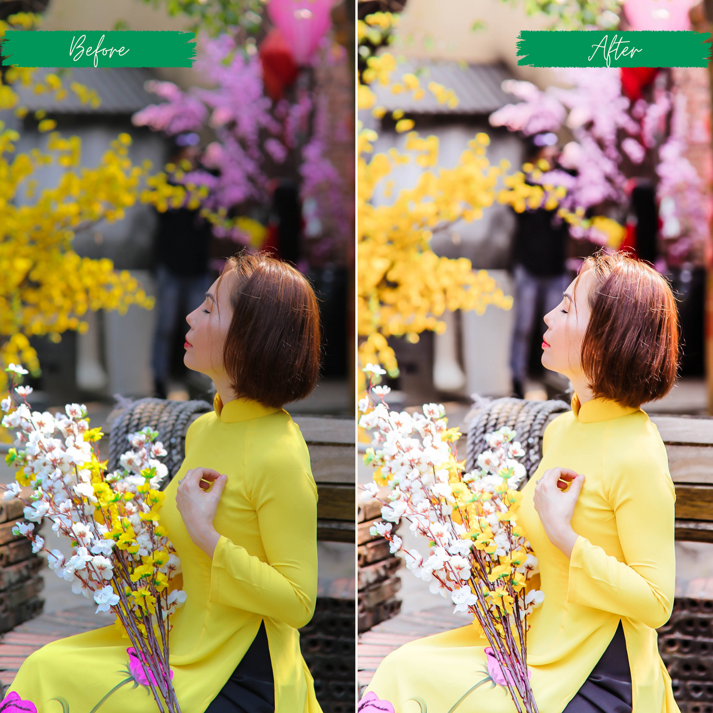 Vibrant Blogger