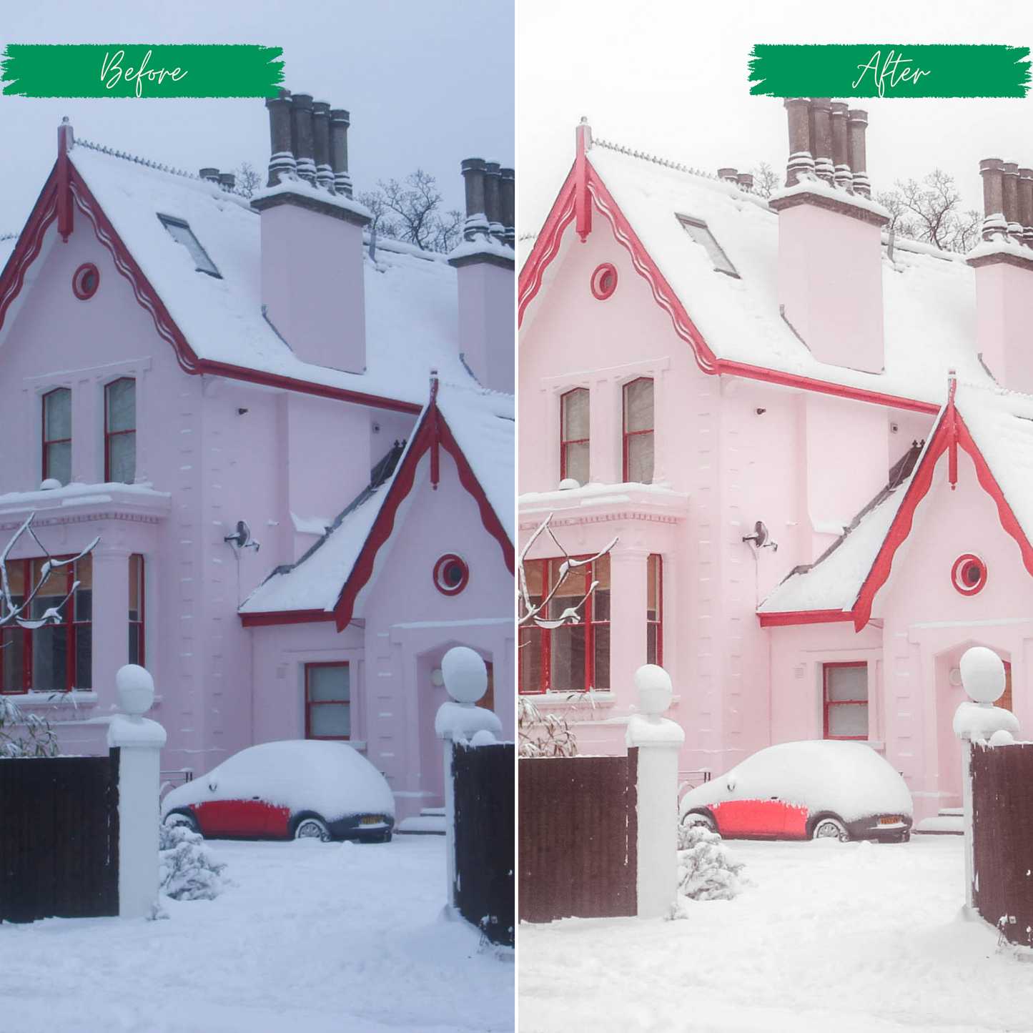 Pink Winter