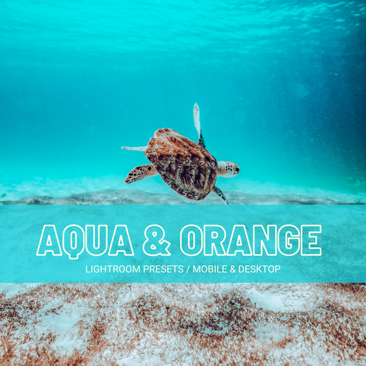 Aqua & Orange