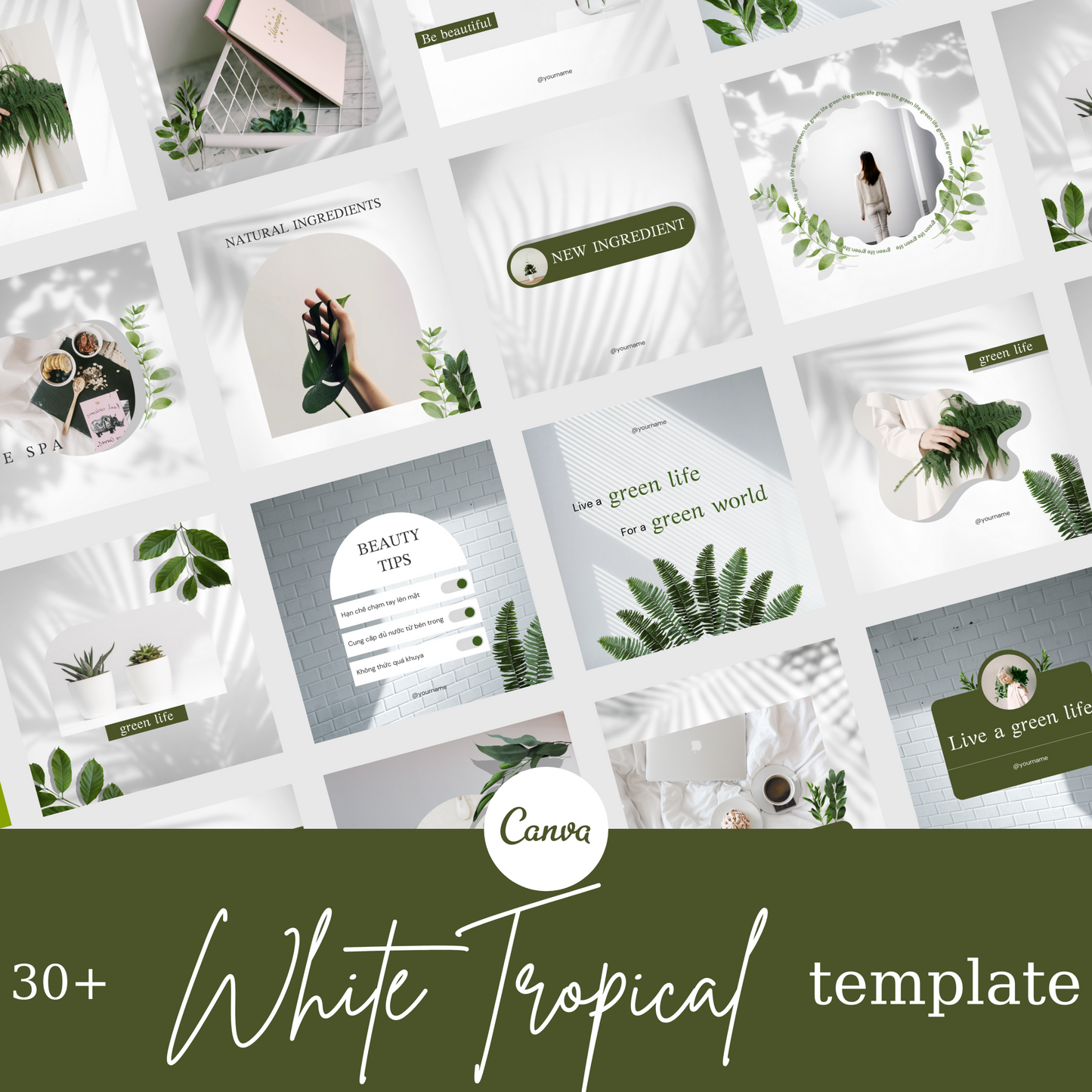 30+ White Tropical Instagram Post Templates