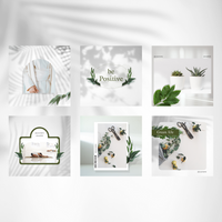 30+ White Tropical Instagram Post Templates